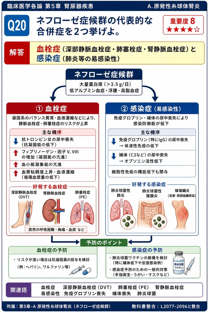ネフローゼ症候群の代表的な合併症を2つ挙げよ。 解説図