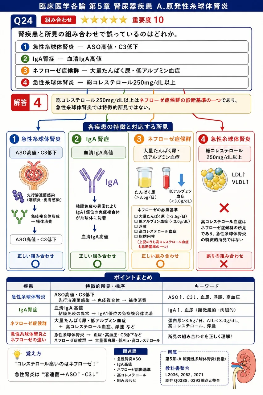 腎疾患と所見の組み合わせで誤っているのはどれか。 解説図