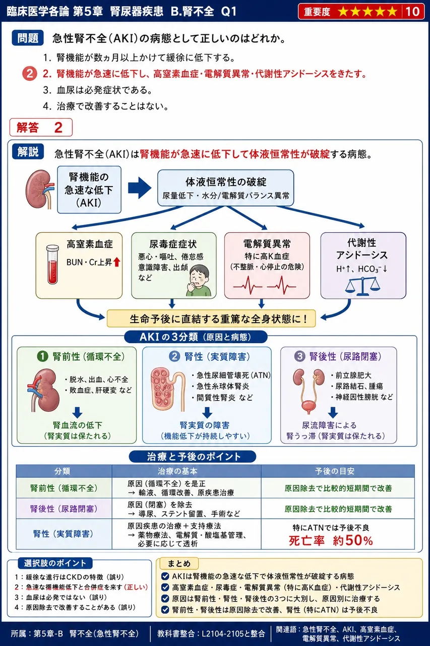 急性腎不全(AKI)の病態として正しいのはどれか。 解説図