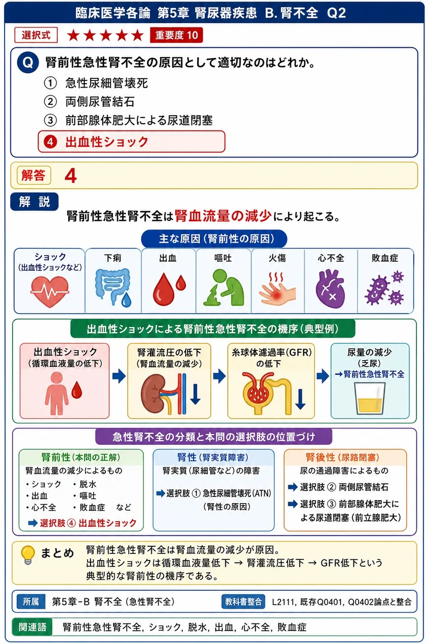 腎前性急性腎不全の原因として適切なのはどれか。 解説図