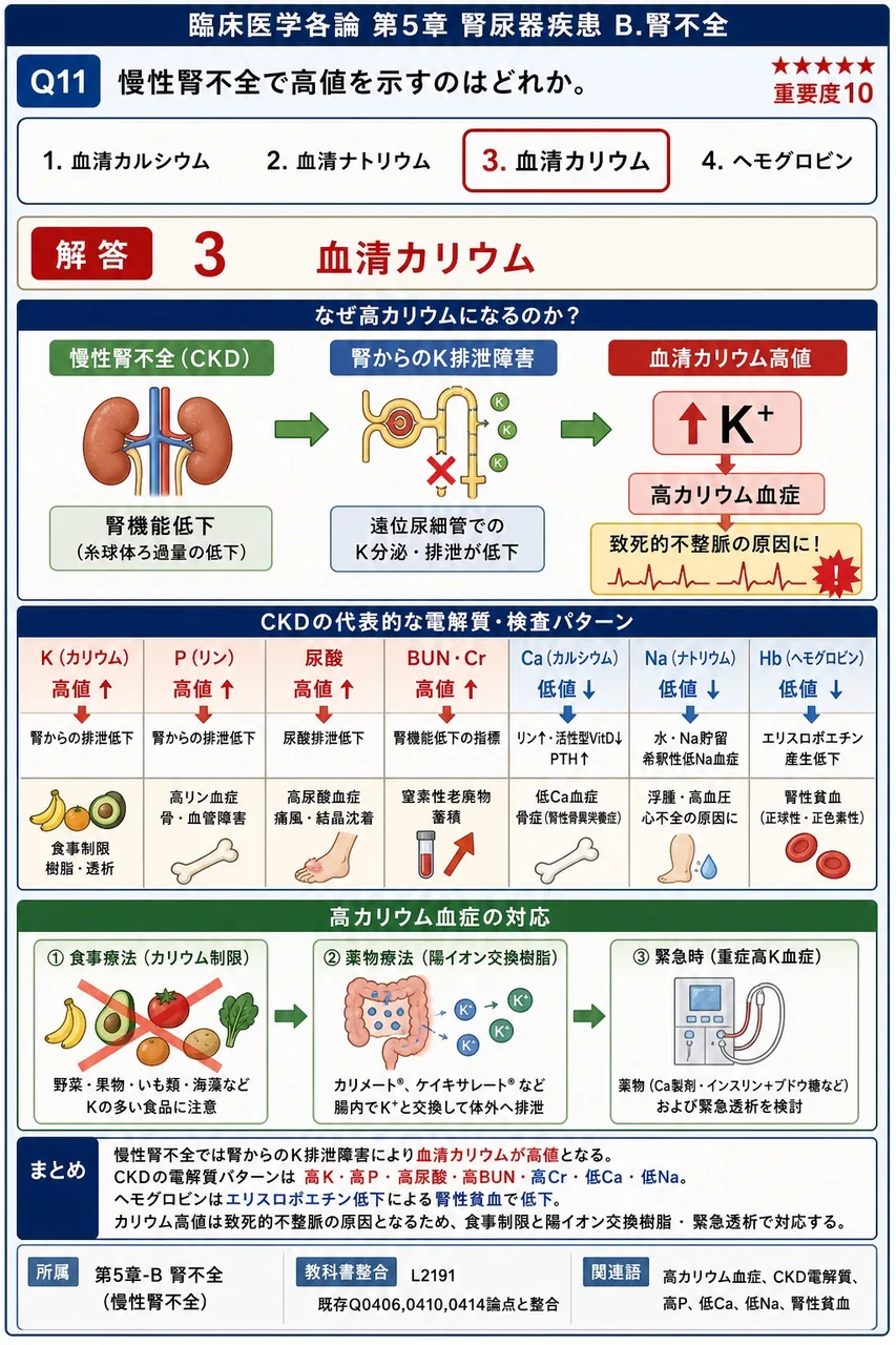 慢性腎不全で高値を示すのはどれか。 解説図