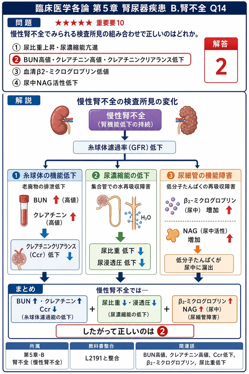慢性腎不全でみられる検査所見の組み合わせで正しいのはどれか。 解説図