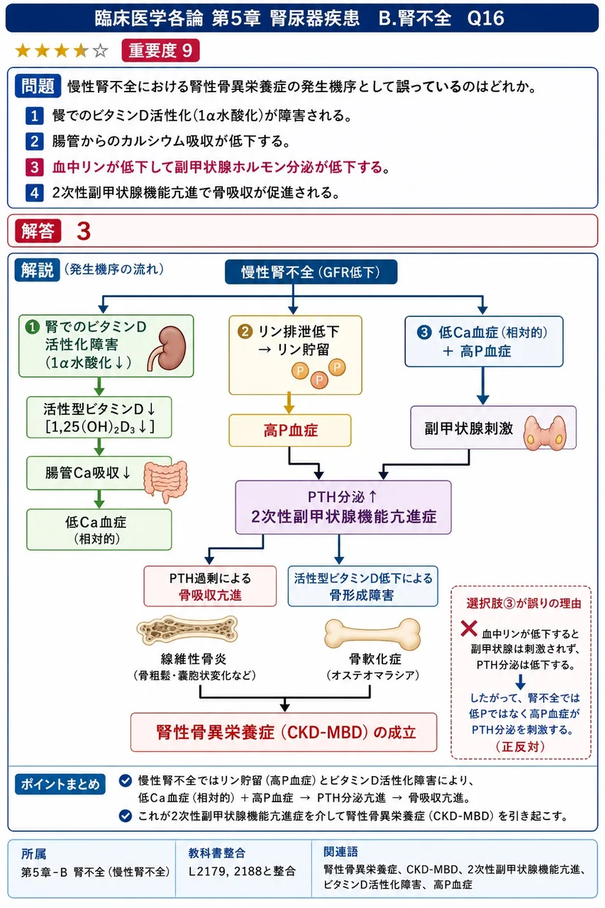 慢性腎不全における腎性骨異栄養症の発生機序として誤っているのはどれか。 解説図