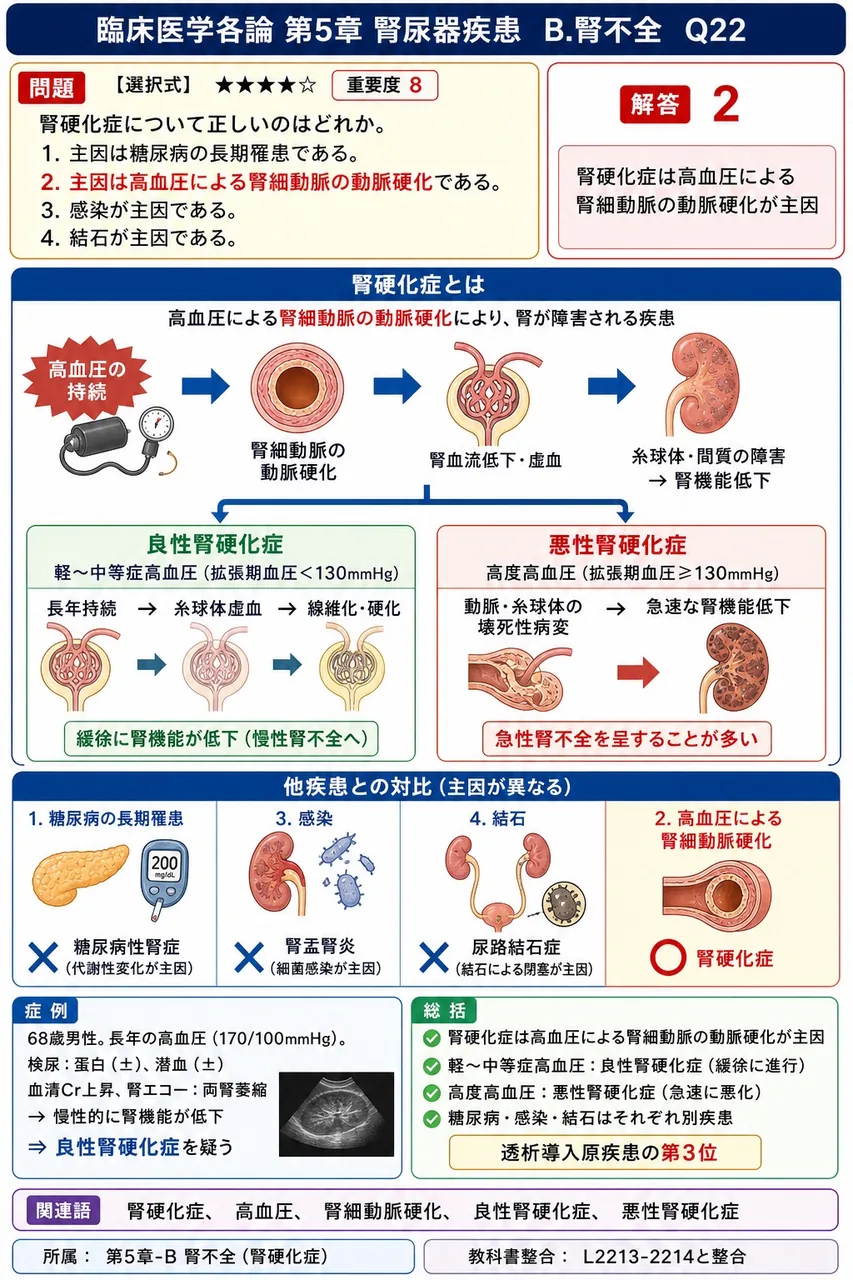 腎硬化症について正しいのはどれか。 解説図