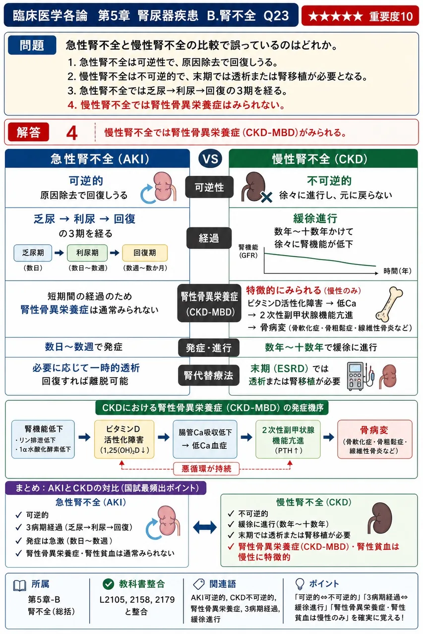 急性腎不全と慢性腎不全の比較で誤っているのはどれか。 解説図