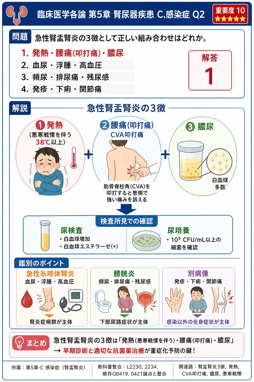 急性腎盂腎炎の3徴として正しい組み合わせはどれか。 解説図