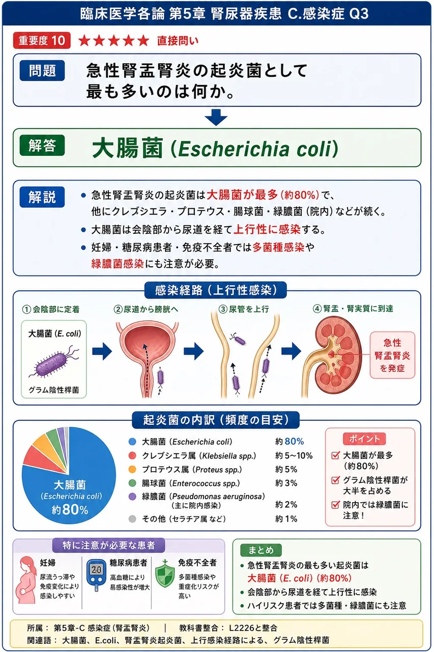 急性腎盂腎炎の起炎菌として最も多いのは何か。 解説図