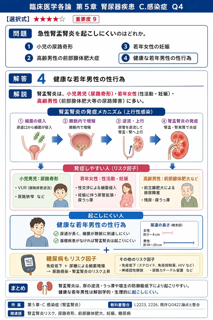 急性腎盂腎炎を起こしにくいのはどれか。 解説図