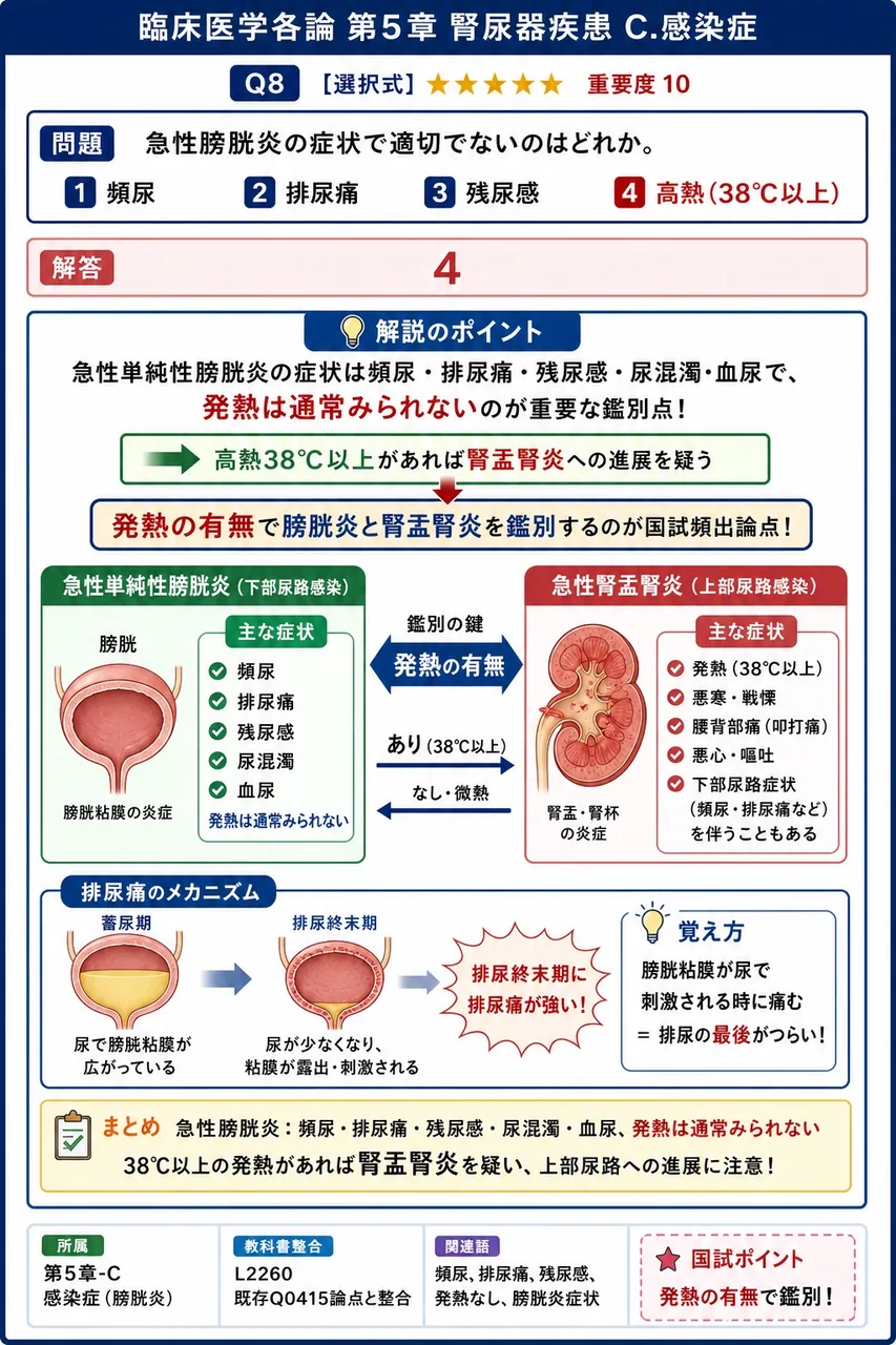 急性膀胱炎の症状で適切でないのはどれか。 解説図