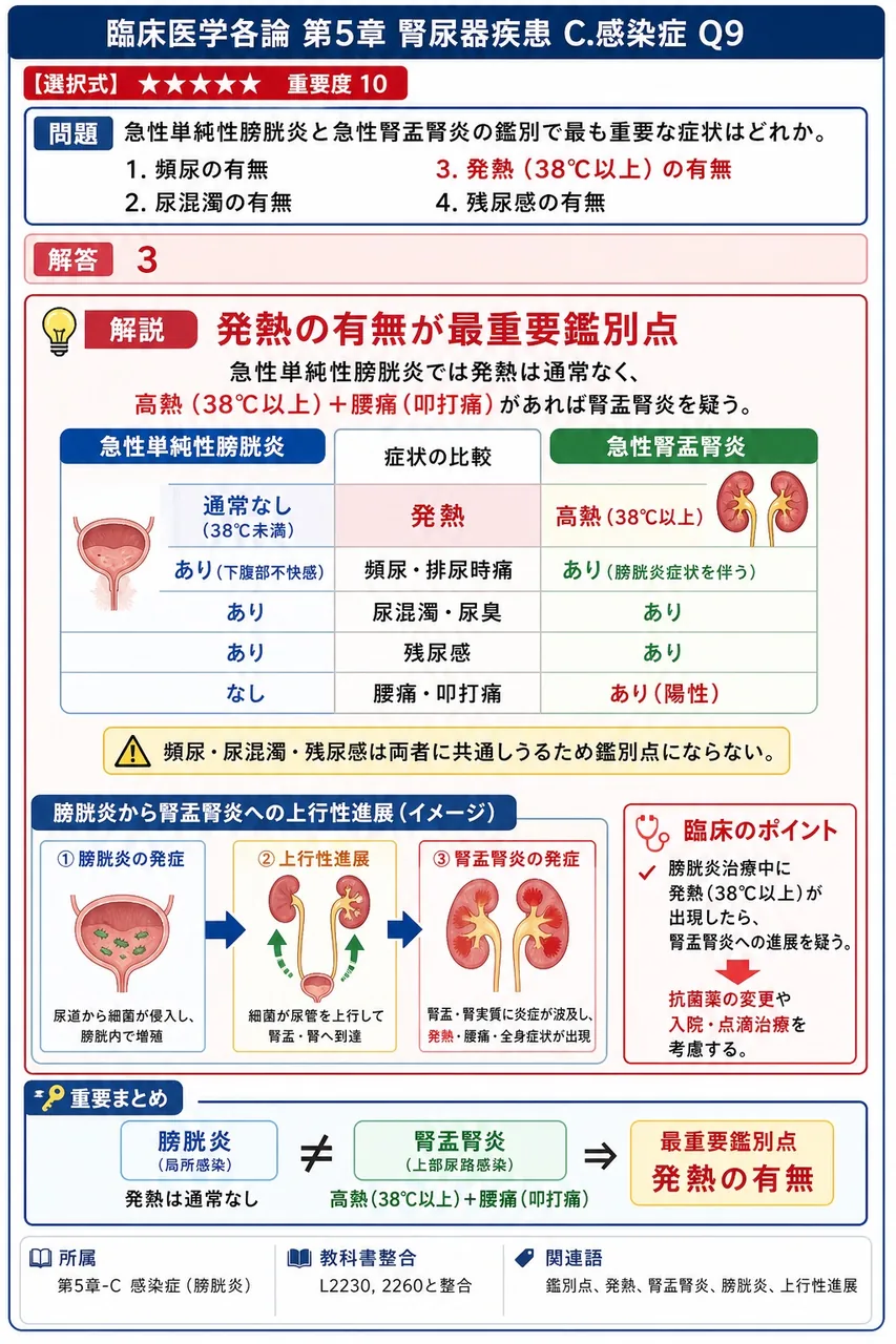 急性単純性膀胱炎と急性腎盂腎炎の鑑別で最も重要な症状はどれか。 解説図