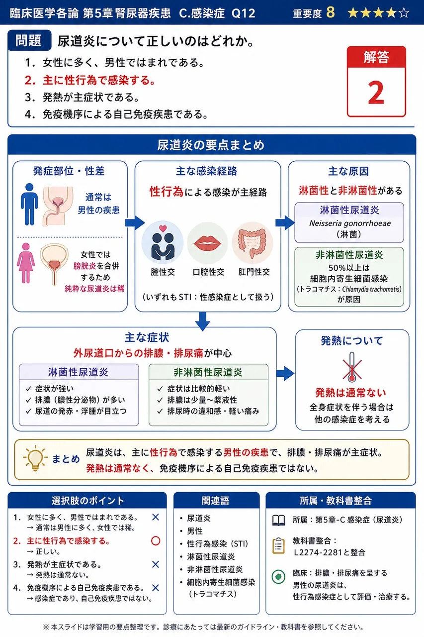 尿道炎について正しいのはどれか。 解説図