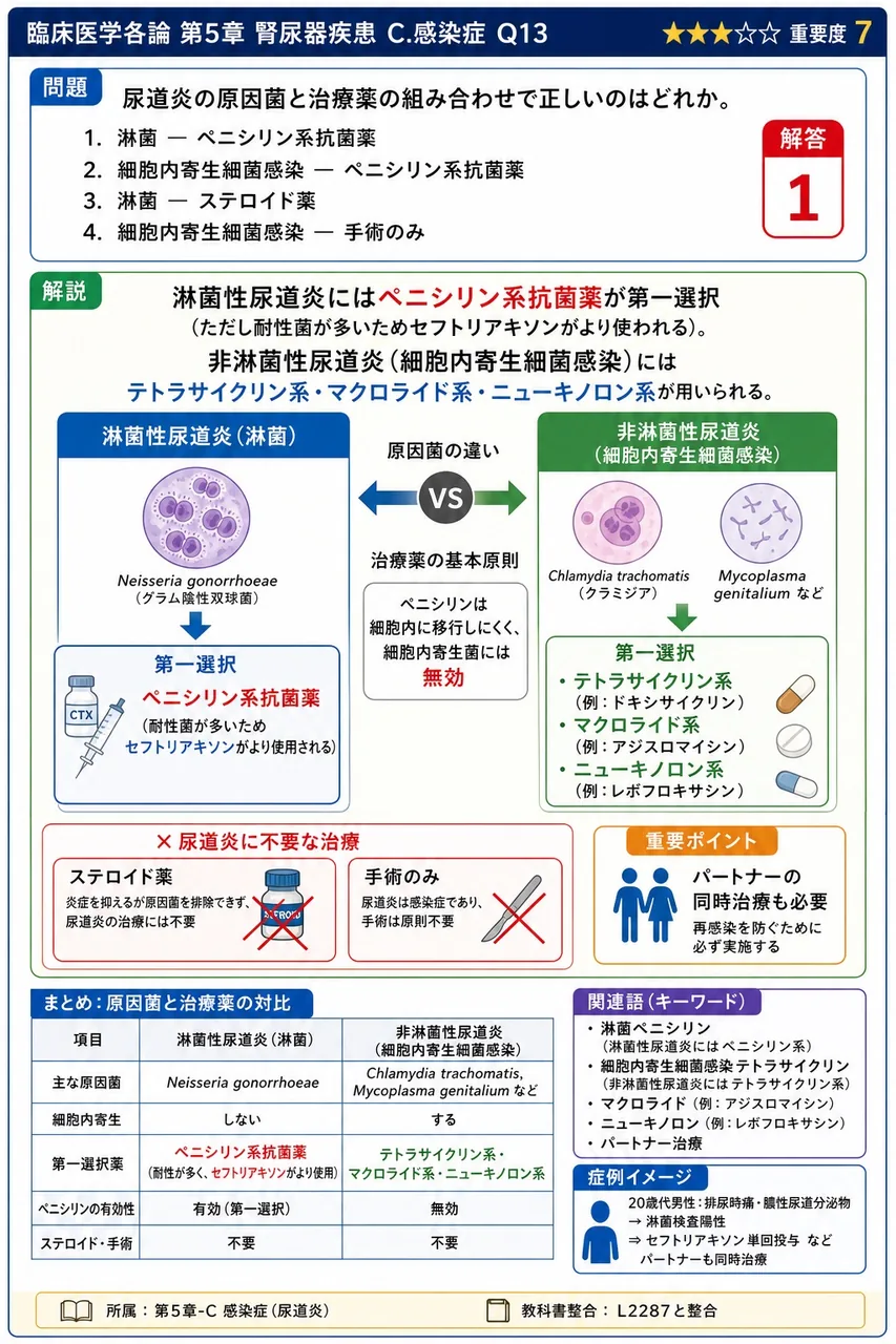 尿道炎の原因菌と治療薬の組み合わせで正しいのはどれか。 解説図