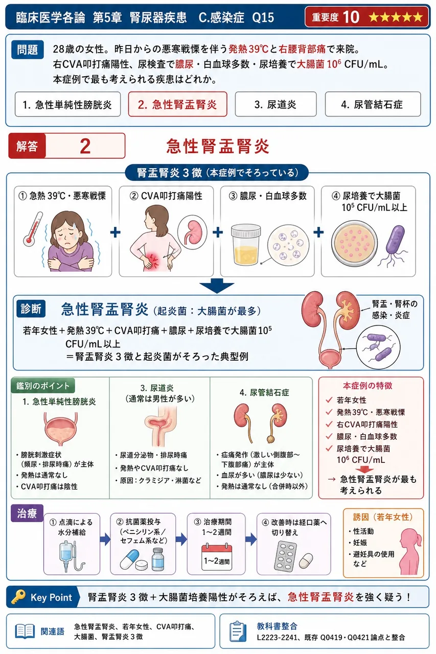 「28歳の女性。昨日からの悪寒戦慄を伴う発熱39℃と右腰背部痛で来院。右CVA叩打痛陽性、尿検査で膿尿・白血球多数・尿培養で大腸菌10^6 CFU/mL。」本症例で最も考えられる疾患はどれか。 解説図