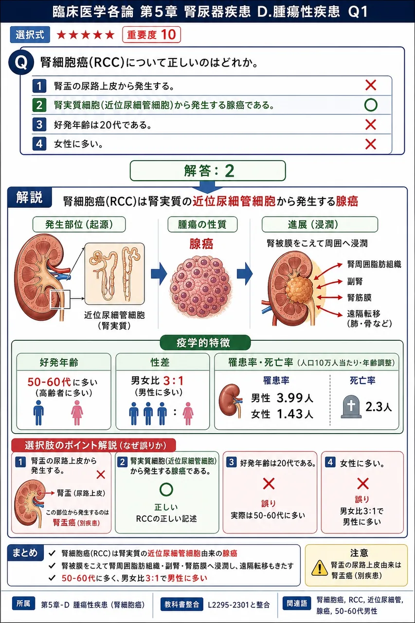 腎細胞癌(RCC)について正しいのはどれか。 解説図