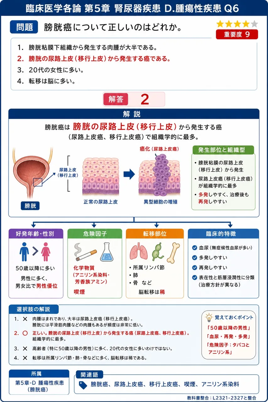膀胱癌について正しいのはどれか。 解説図