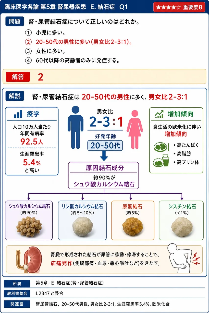 腎・尿管結石症について正しいのはどれか。 解説図