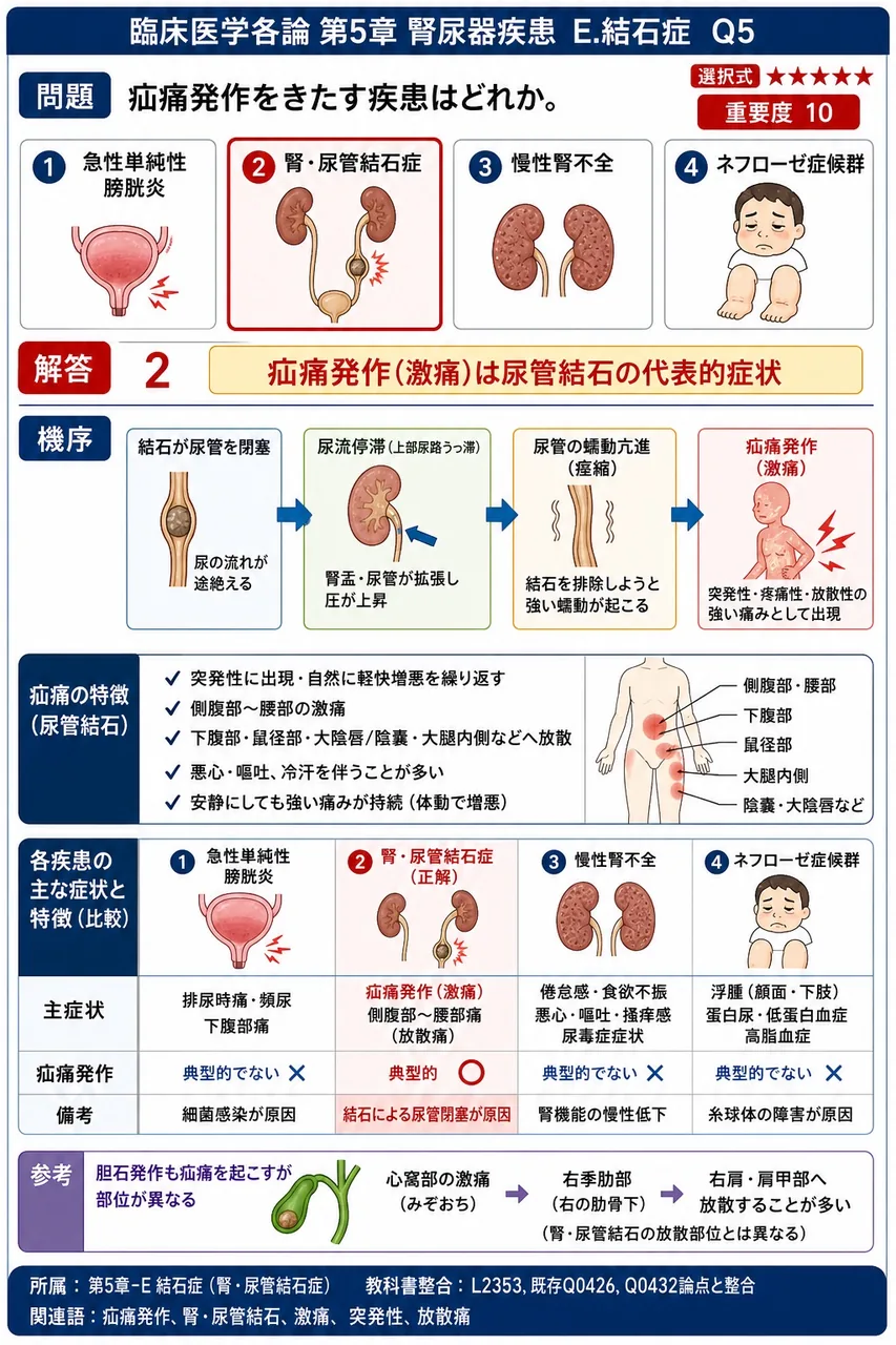 疝痛発作をきたす疾患はどれか。 解説図