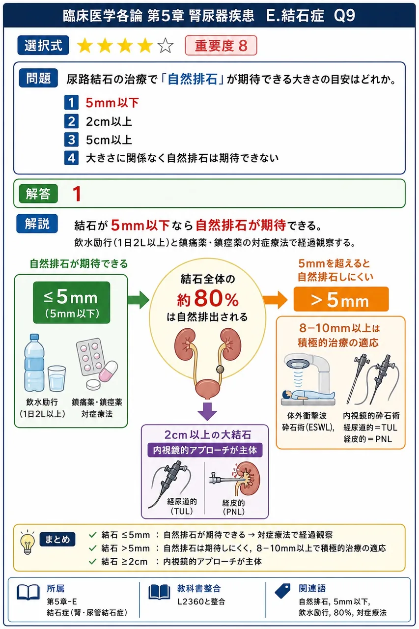 尿路結石の治療で「自然排石」が期待できる大きさの目安はどれか。 解説図