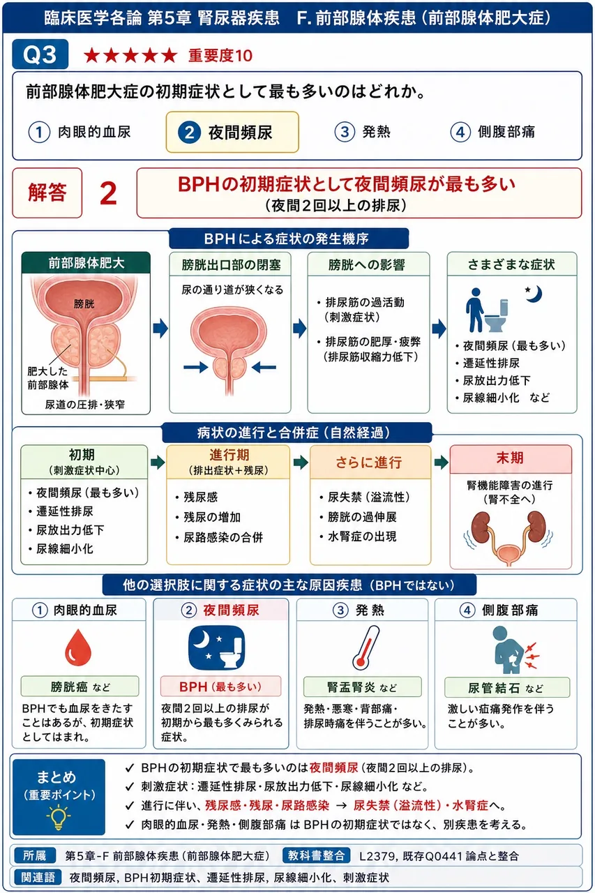 前立腺肥大症の初期症状として最も多いのはどれか。 解説図