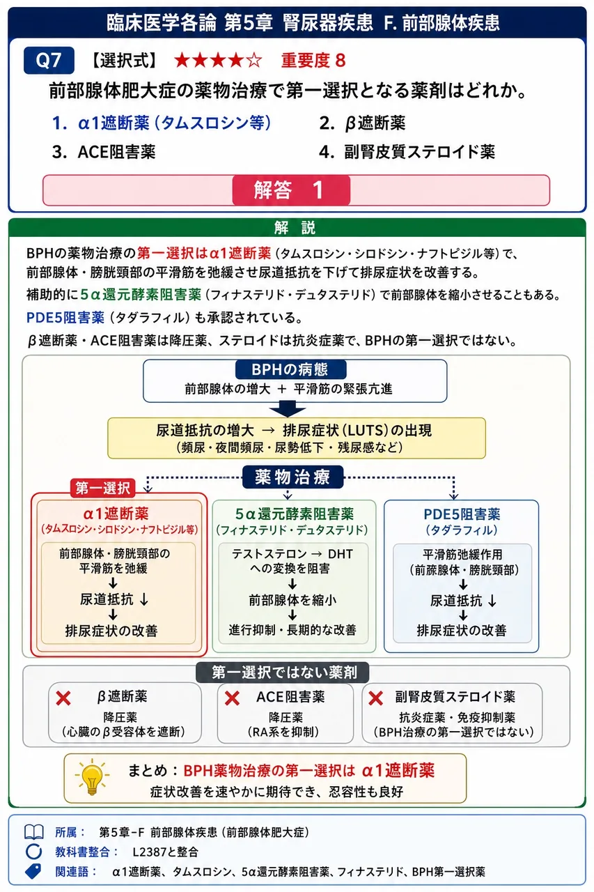 前立腺肥大症の薬物治療で第一選択となる薬剤はどれか。 解説図