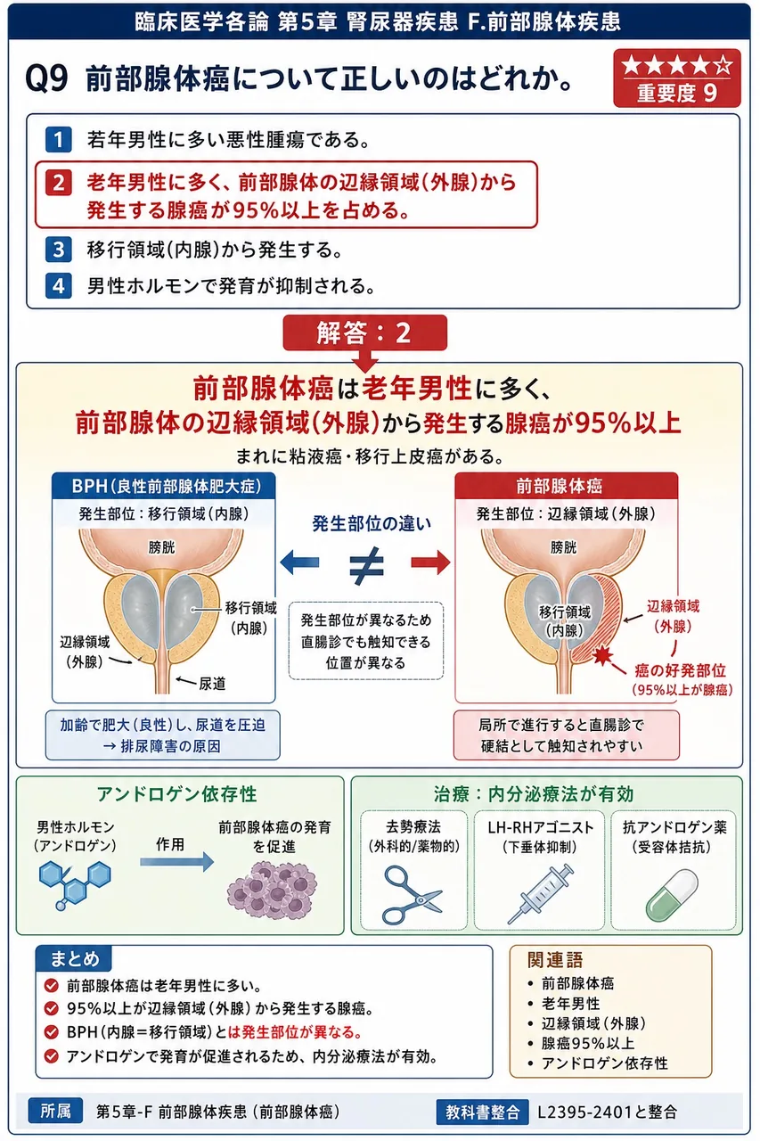 前立腺癌について正しいのはどれか。 解説図
