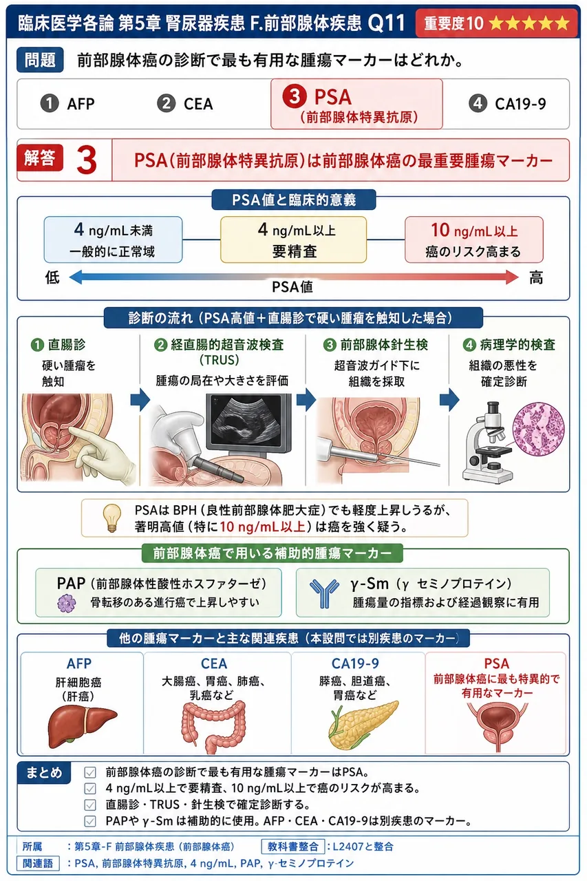 前立腺癌の診断で最も有用な腫瘍マーカーはどれか。 解説図