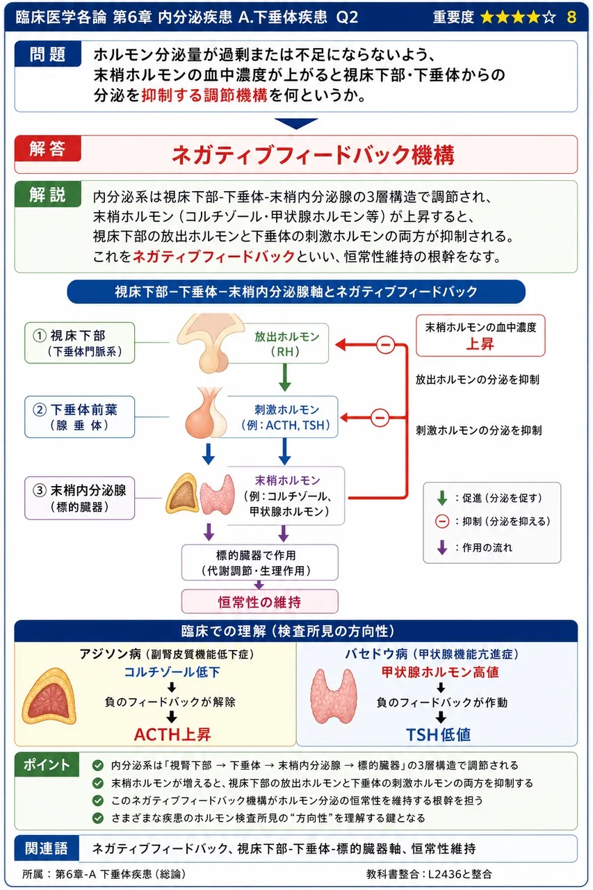 ホルモン分泌量が過剰または不足にならないよう、末梢ホルモンの血中濃度が上がると視床下部・下垂体からの分泌を抑制する調節機構を何というか。 解説図