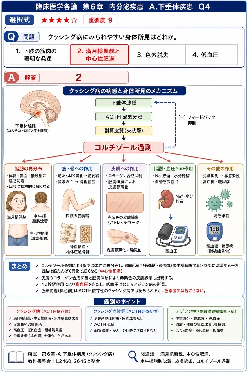 クッシング病にみられやすい身体所見はどれか。 解説図