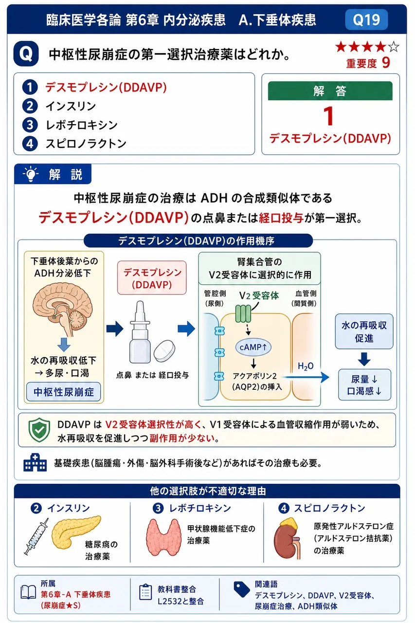 中枢性尿崩症の第一選択治療薬はどれか。 解説図