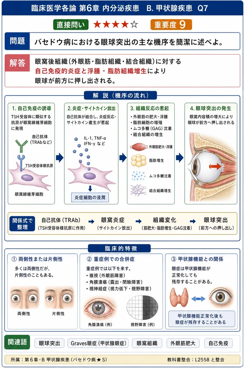 バセドウ病における眼球突出の主な機序を簡潔に述べよ。 解説図