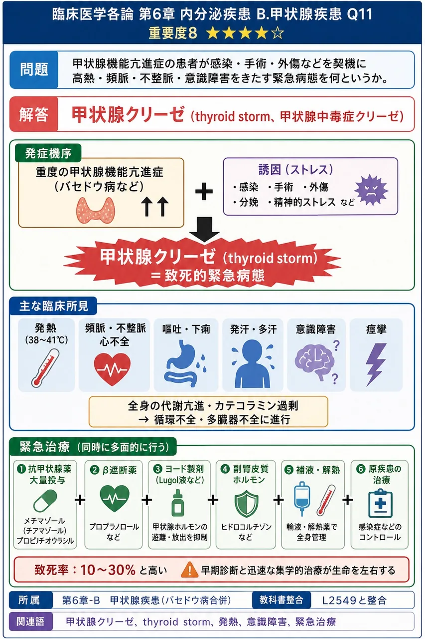 甲状腺機能亢進症の患者が感染・手術・外傷などを契機に高熱・頻脈・不整脈・意識障害をきたす緊急病態を何というか。 解説図