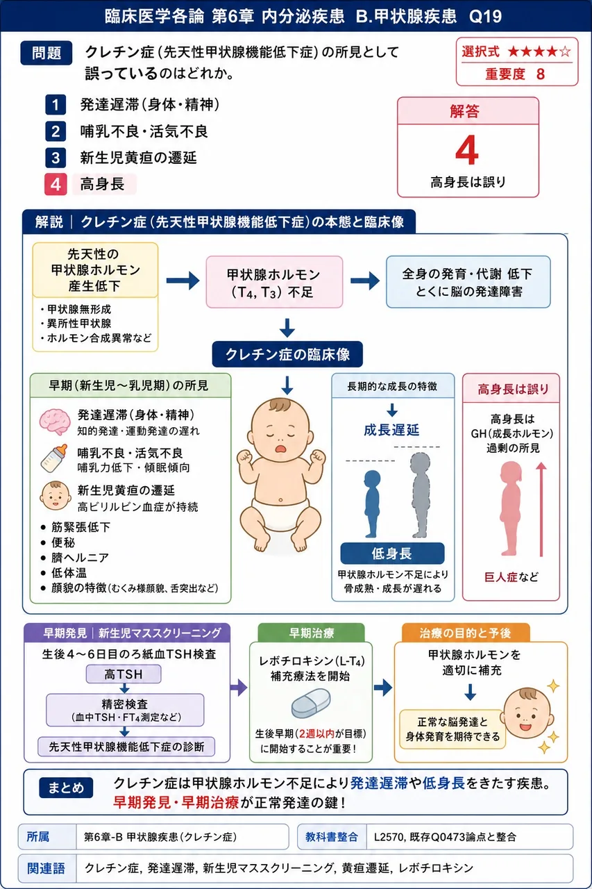 クレチン症(先天性甲状腺機能低下症)の所見として**誤っている**のはどれか。 解説図