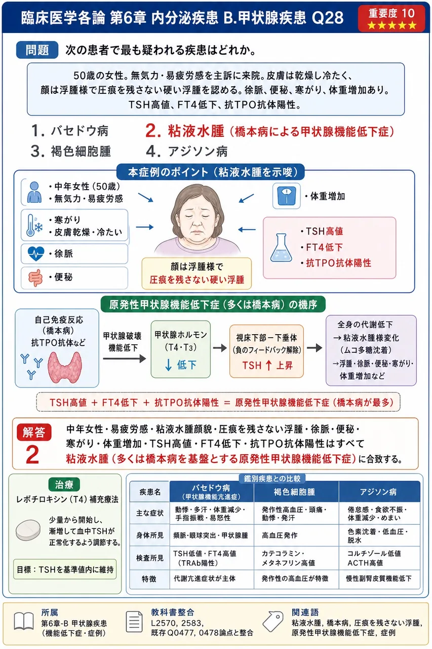 次の患者で最も疑われる疾患はどれか。 「50歳の女性。無気力・易疲労感を主訴に来院。皮膚は乾燥し冷たく、顔は浮腫様で圧痕を残さない硬い浮腫を認める。徐脈、便秘、寒がり、体重増加あり。TSH高値、FT4低下、抗TPO抗体陽性。」 解説図