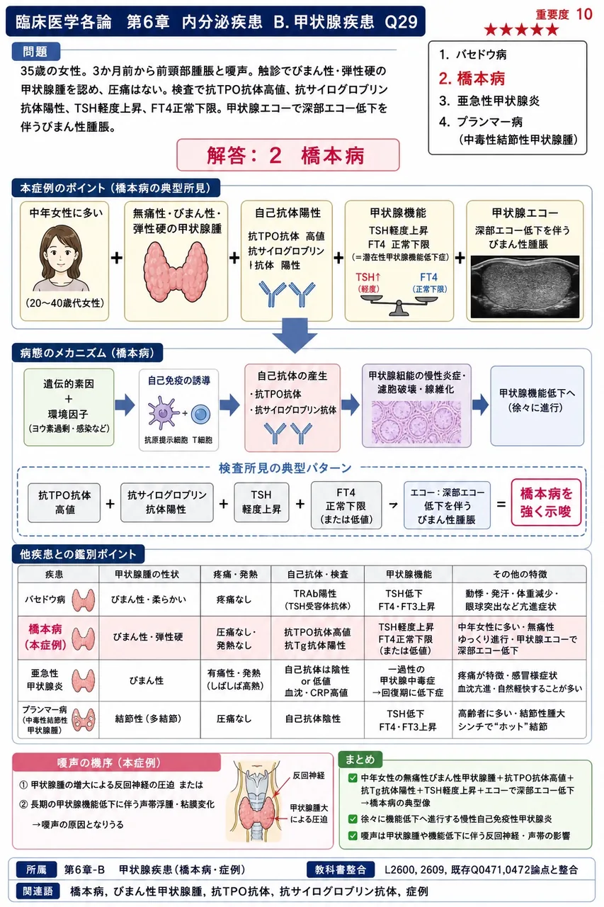 次の患者で最も疑われる疾患はどれか。 「35歳の女性。3か月前から前頸部腫脹と嗄声。触診でびまん性・弾性硬の甲状腺腫を認め、圧痛はない。検査で抗TPO抗体高値、抗サイログロブリン抗体陽性、TSH軽度上昇、FT4正常下限。甲状腺エコーで深部エコー低下を伴うびまん性腫脹。」 解説図