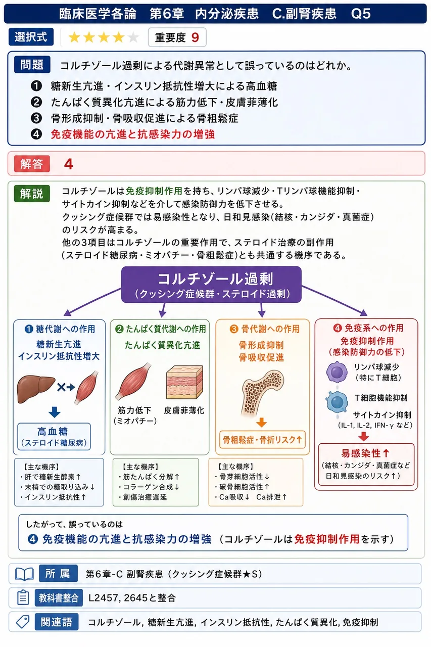 コルチゾール過剰による代謝異常として**誤っている**のはどれか。 解説図
