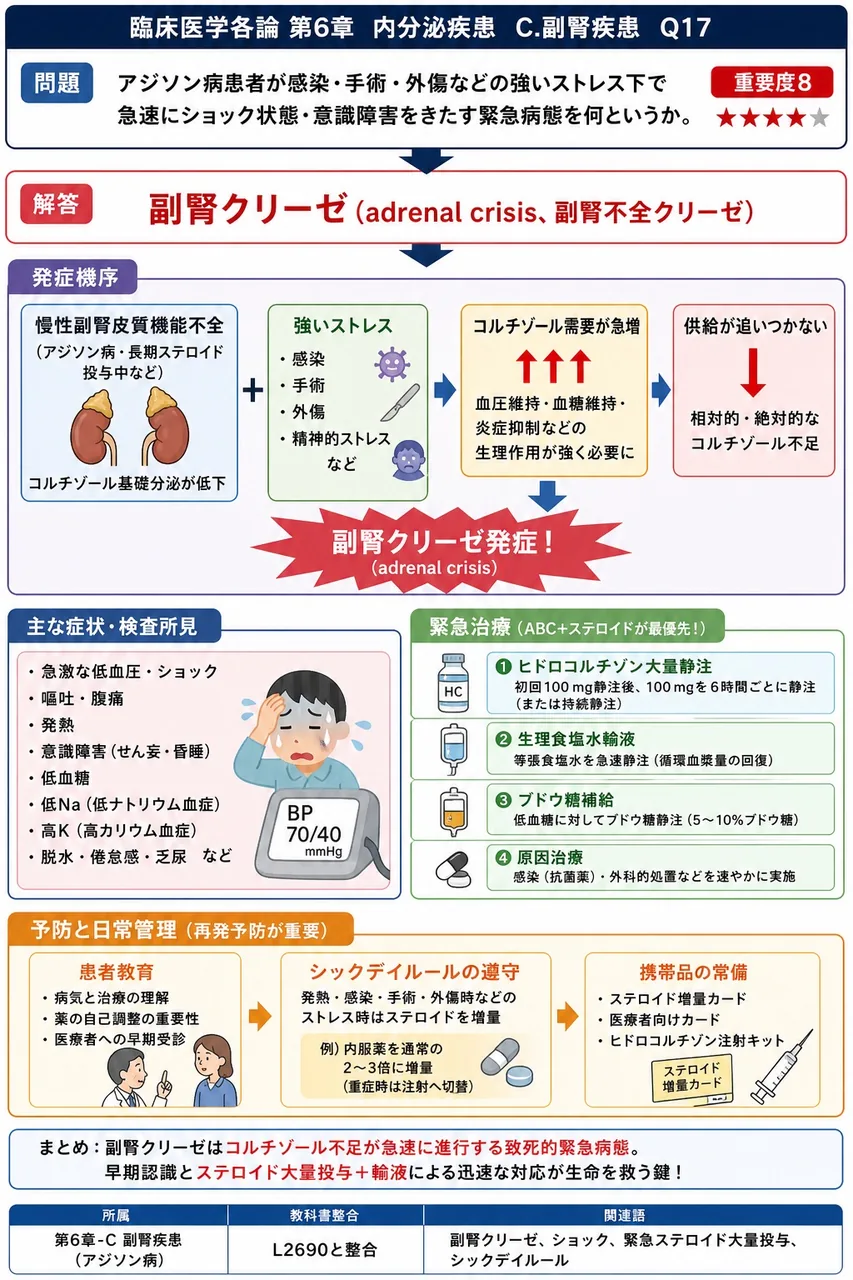 アジソン病患者が感染・手術・外傷などの強いストレス下で急速にショック状態・意識障害をきたす緊急病態を何というか。 解説図