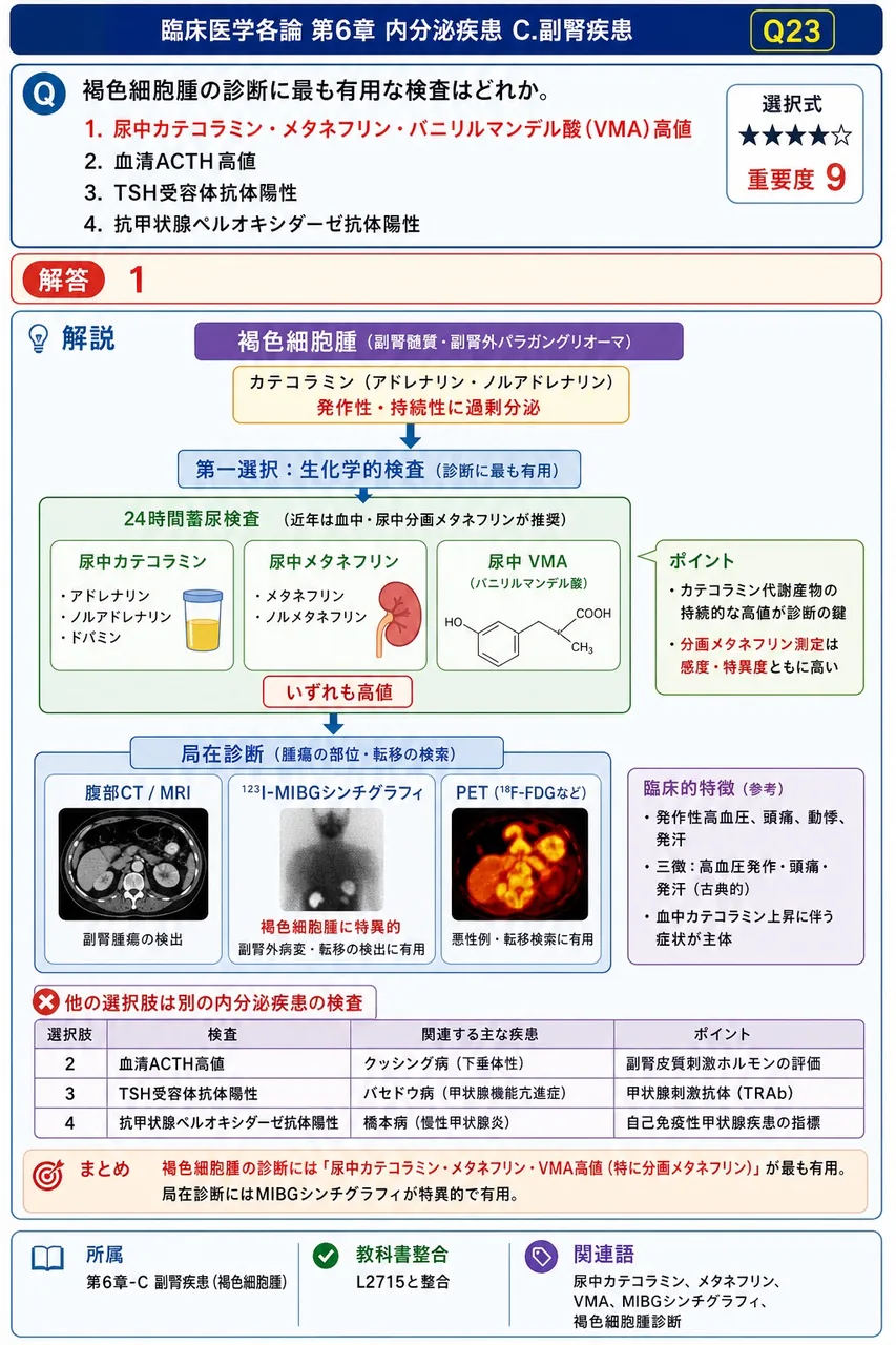 褐色細胞腫の診断に最も有用な検査はどれか。 解説図