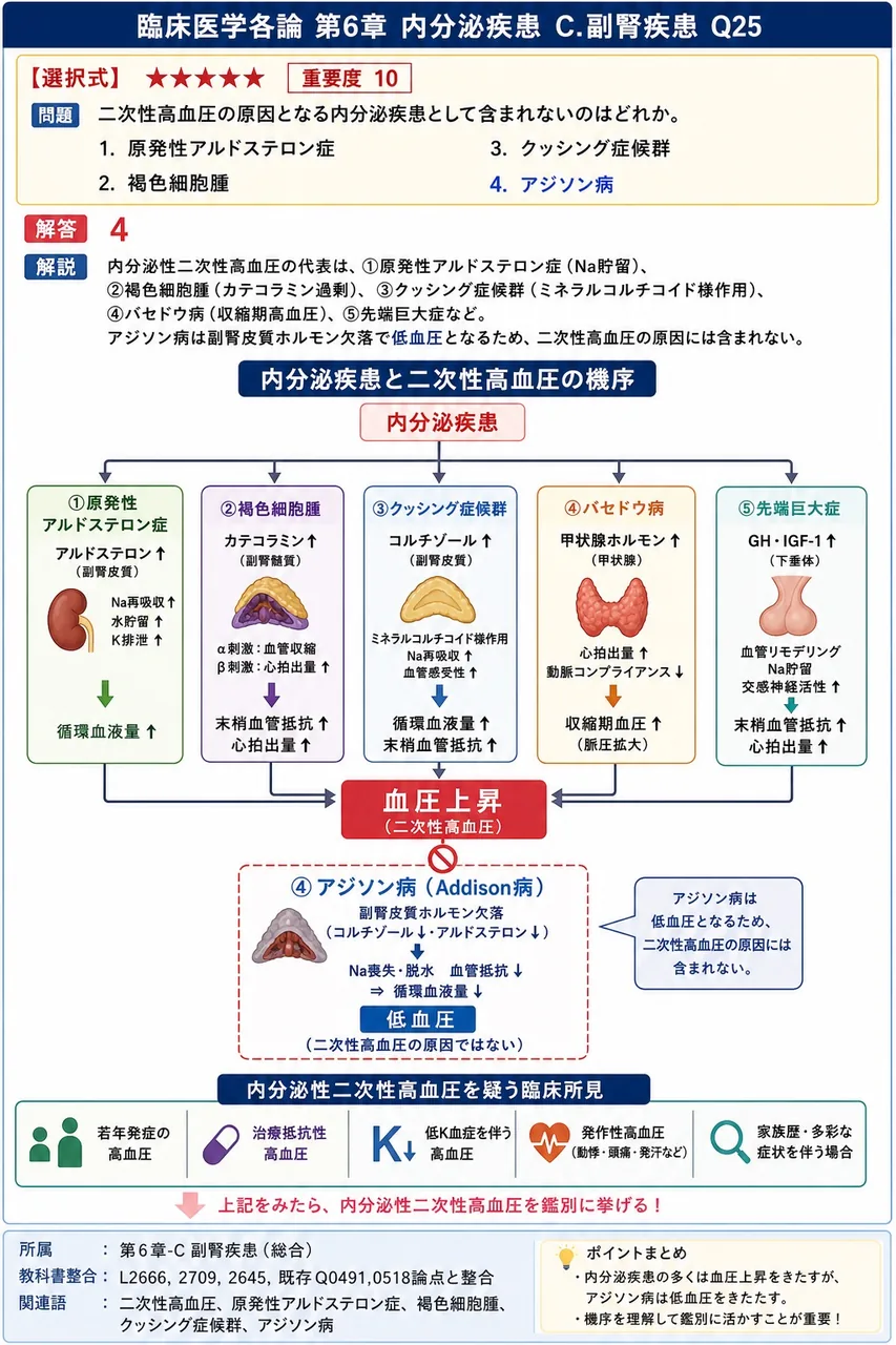 二次性高血圧の原因となる内分泌疾患として**含まれない**のはどれか。 解説図