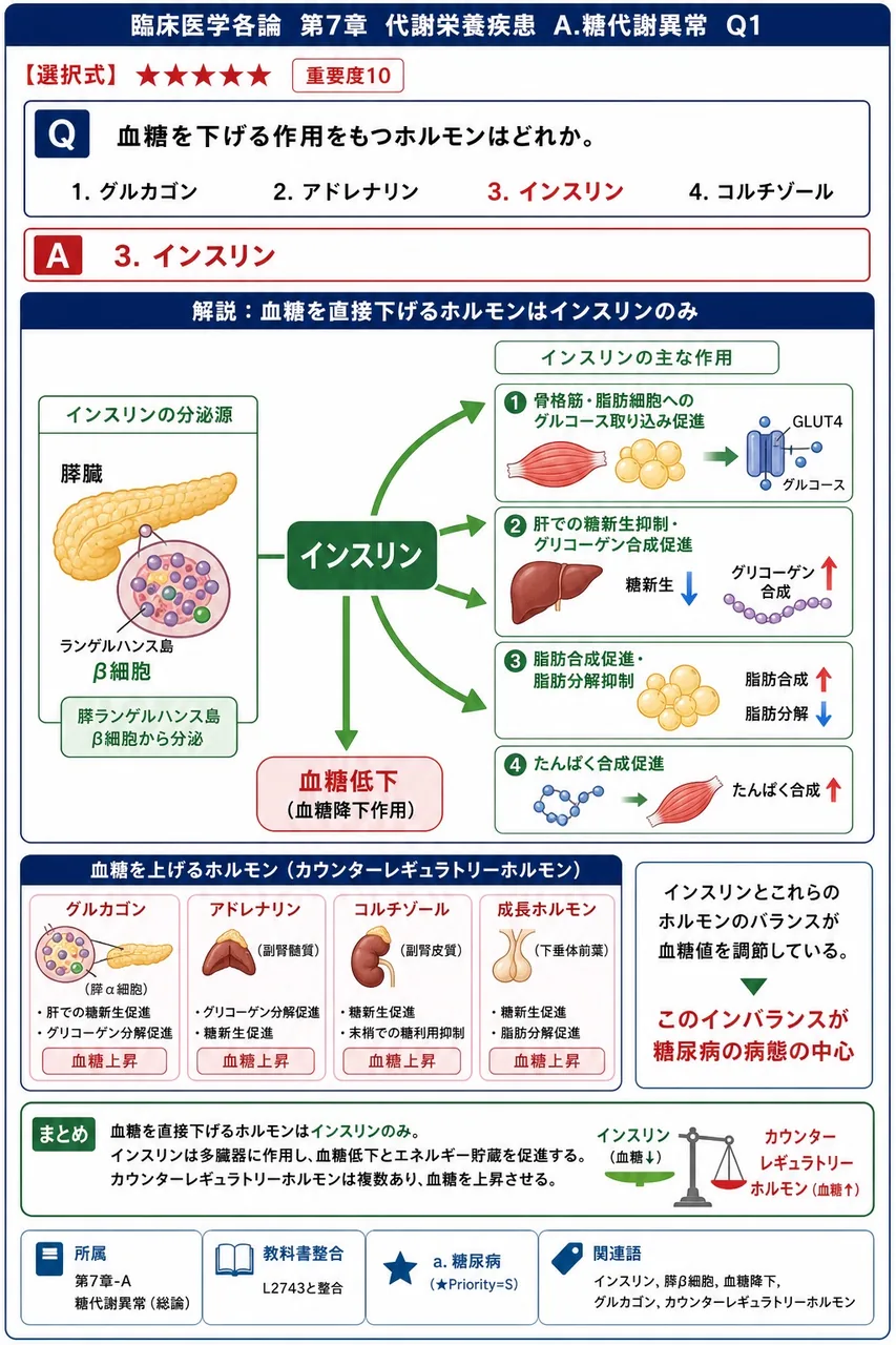 血糖を下げる作用をもつホルモンはどれか。 解説図