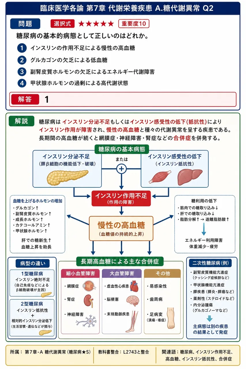 糖尿病の基本的病態として正しいのはどれか。 解説図