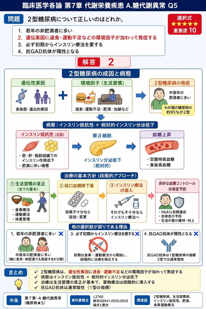 2型糖尿病について正しいのはどれか。 解説図