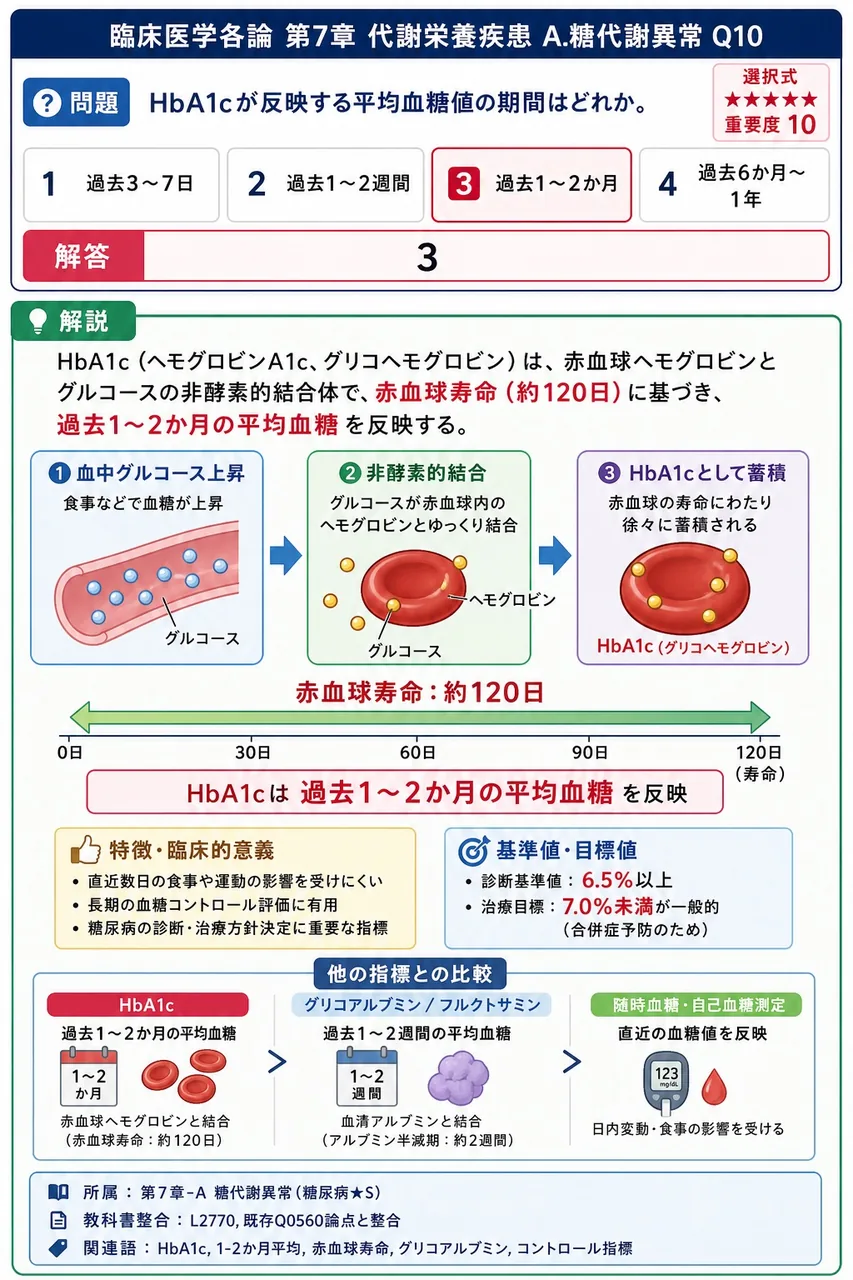 HbA1cが反映する平均血糖値の期間はどれか。 解説図