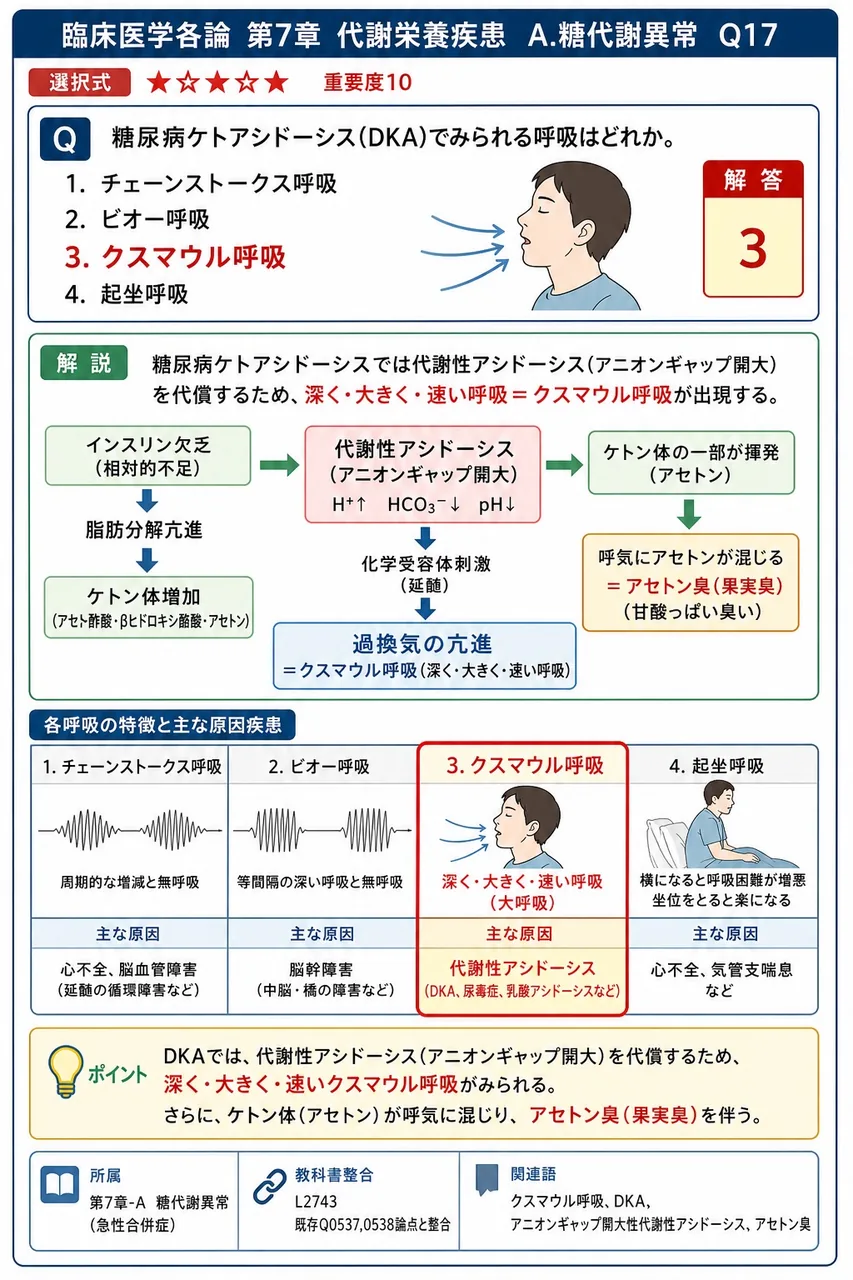 糖尿病ケトアシドーシス(DKA)でみられる呼吸はどれか。 解説図