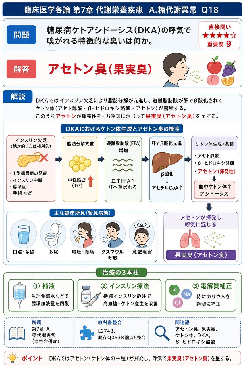 糖尿病ケトアシドーシス(DKA)の呼気で嗅がれる特徴的な臭いは何か。 解説図