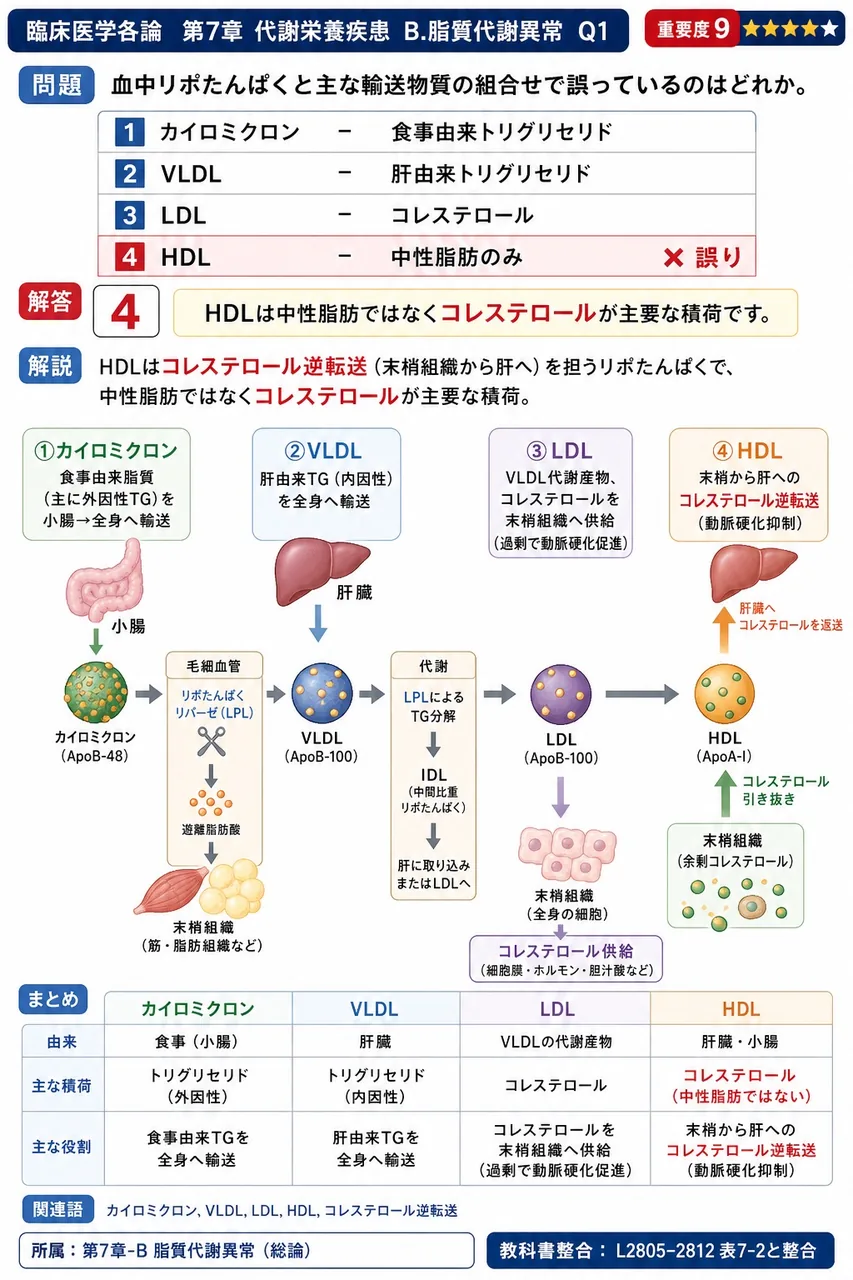 血中リポたんぱくと主な輸送物質の組合せで**誤っている**のはどれか。 解説図