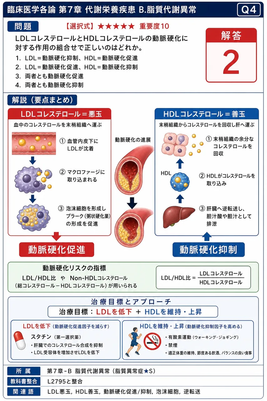 LDLコレステロールとHDLコレステロールの動脈硬化に対する作用の組合せで正しいのはどれか。 解説図