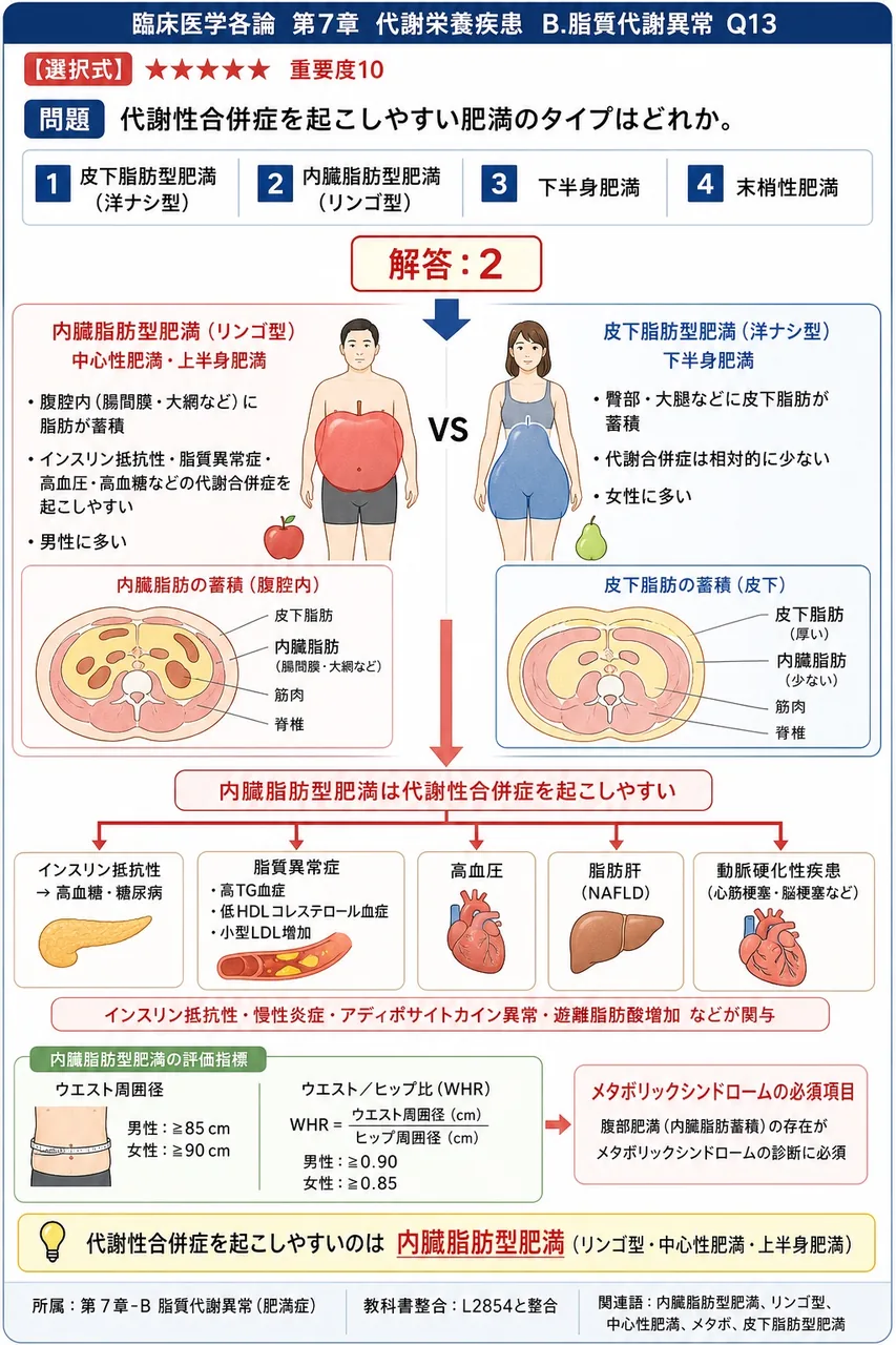 代謝性合併症を起こしやすい肥満のタイプはどれか。 解説図