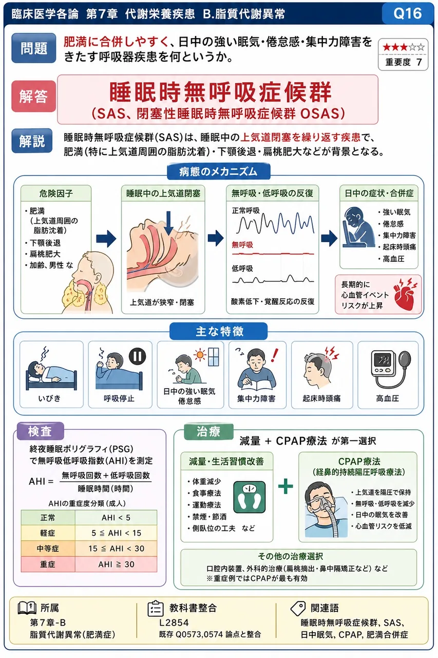 肥満に合併しやすく、日中の強い眠気・倦怠感・集中力障害をきたす呼吸器疾患を何というか。 解説図