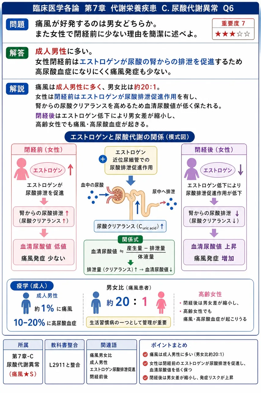 痛風が好発するのは男女どちらか。また女性で閉経前に少ない理由を簡潔に述べよ。 解説図