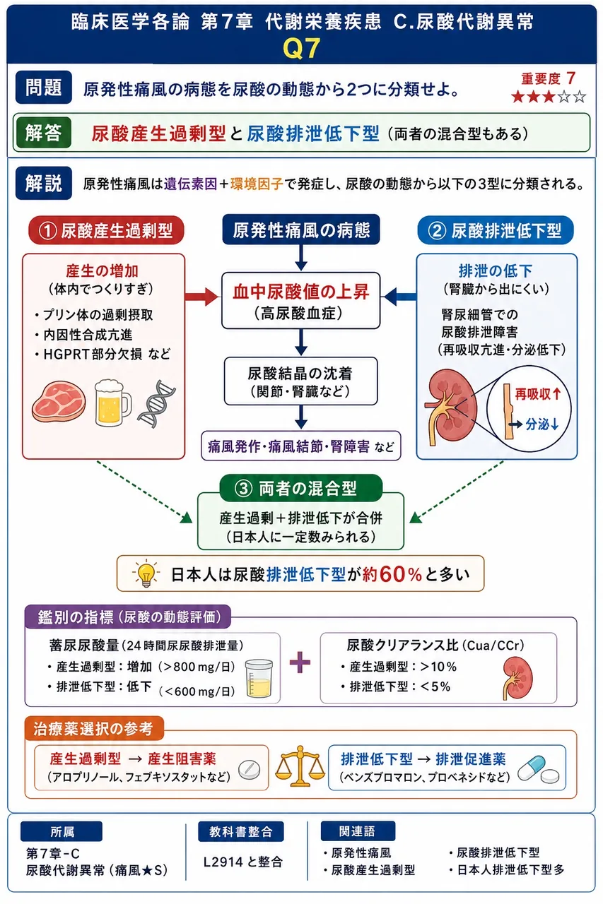原発性痛風の病態を尿酸の動態から2つに分類せよ。 解説図